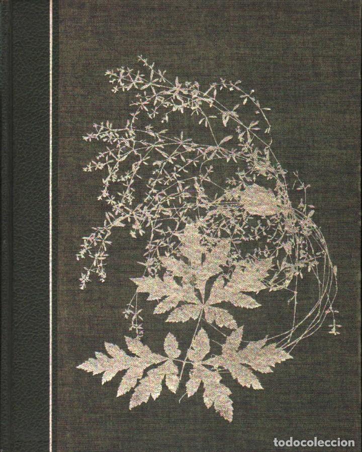 Libros de segunda mano: EL ASOMBROSO MUNDO DE LA NATURALEZA. SUS MARAVILLAS Y MISTERIOS. A-CIE-429