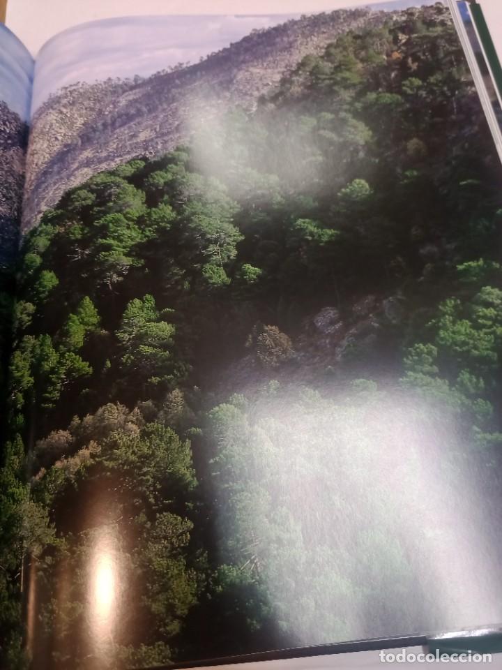 Libros de segunda mano: Nuestra naturaleza. Bosques SA10717 - Foto 2
