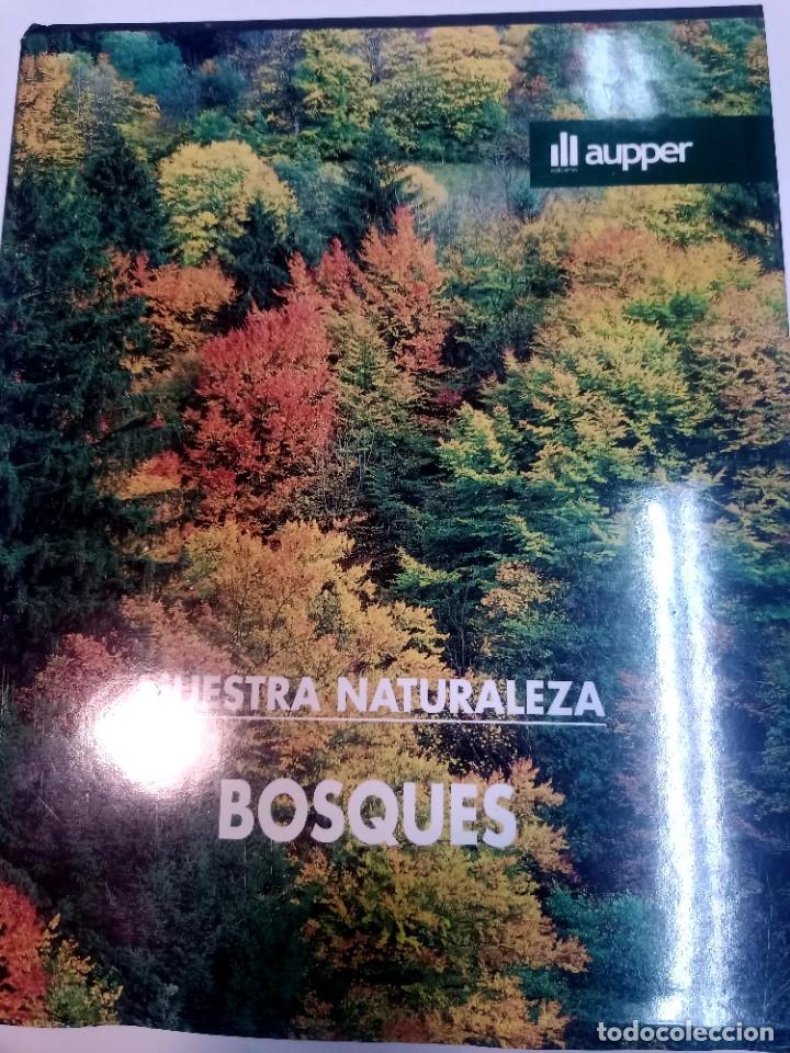Libros de segunda mano: Nuestra naturaleza. Bosques SA10717 - Foto 1