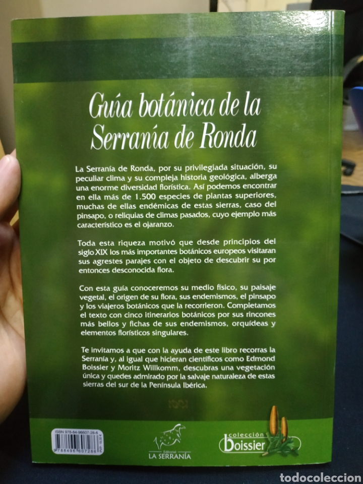 Libros de segunda mano: GU&Iacute;A BOT&Aacute;NICA DE LA SERRAN&Iacute;A DE RONDA - Foto 3