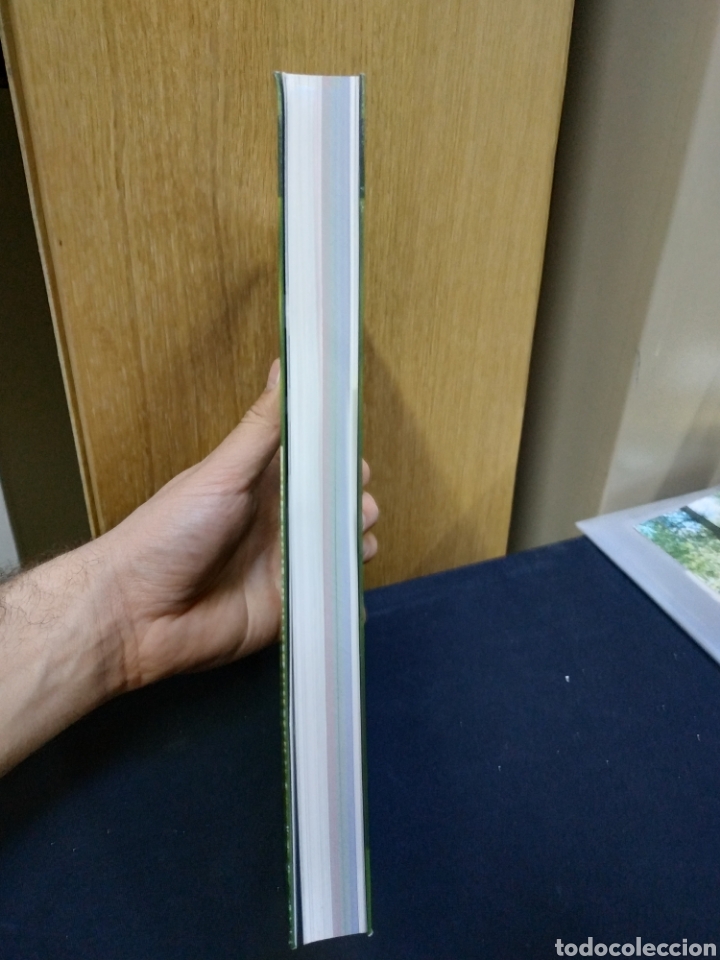 Libros de segunda mano: GU&Iacute;A BOT&Aacute;NICA DE LA SERRAN&Iacute;A DE RONDA - Foto 4