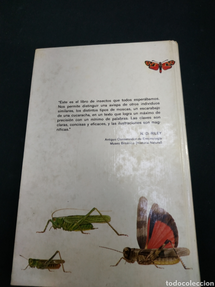 Libros de segunda mano: Gu&iacute;a de campo de los insectos de Espa&ntilde;a y de Europa - Foto 3