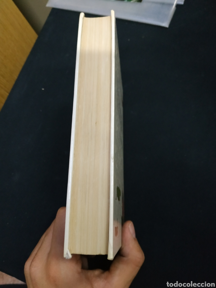 Libros de segunda mano: Gu&iacute;a de campo de los insectos de Espa&ntilde;a y de Europa - Foto 4