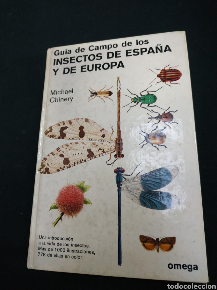 Libros de segunda mano: Gu&iacute;a de campo de los insectos de Espa&ntilde;a y de Europa - Foto 1
