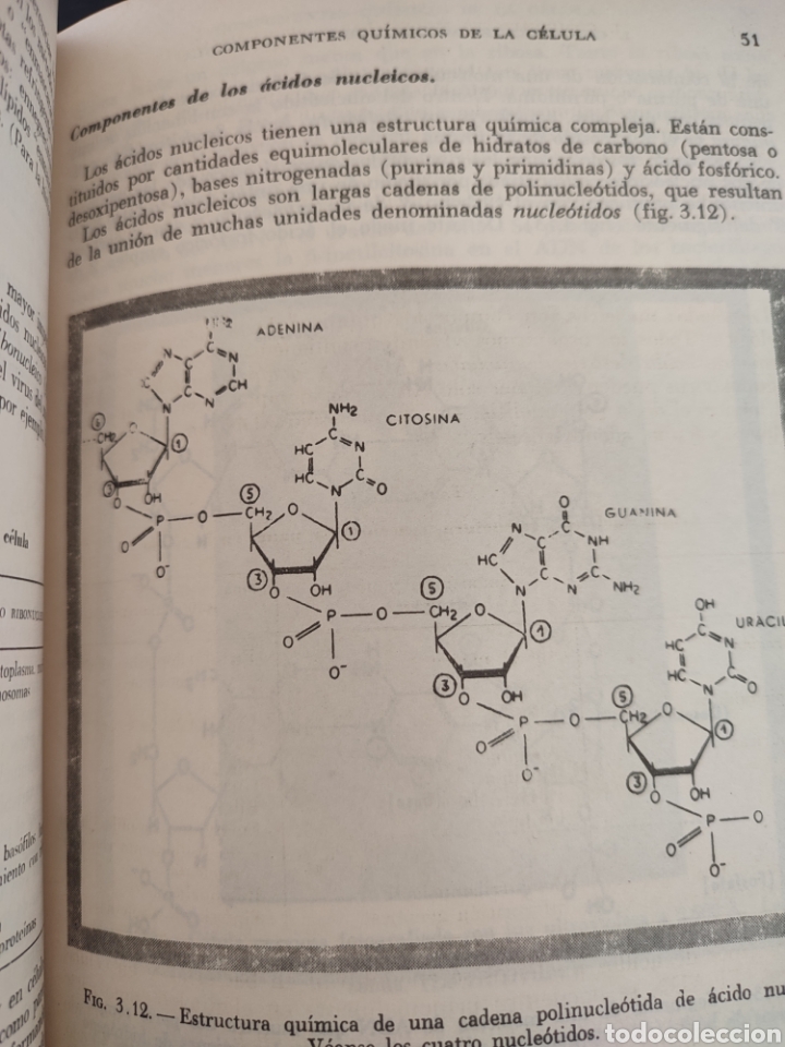 Libros de segunda mano: BIOLOGIA CELULAR/Robertis Nowinski - Foto 4