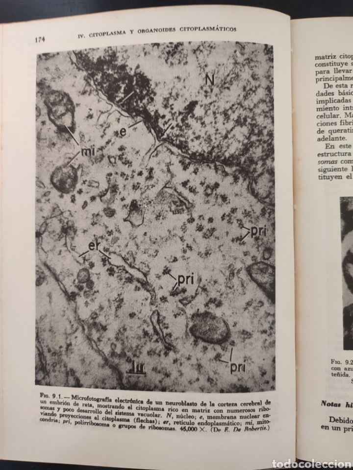 Libros de segunda mano: BIOLOGIA CELULAR/Robertis Nowinski - Foto 5