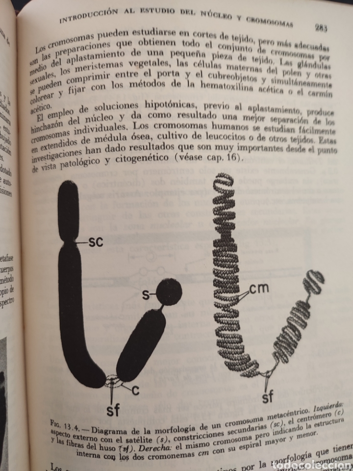 Libros de segunda mano: BIOLOGIA CELULAR/Robertis Nowinski - Foto 6