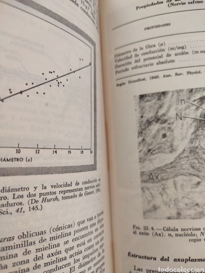 Libros de segunda mano: BIOLOGIA CELULAR/Robertis Nowinski - Foto 9