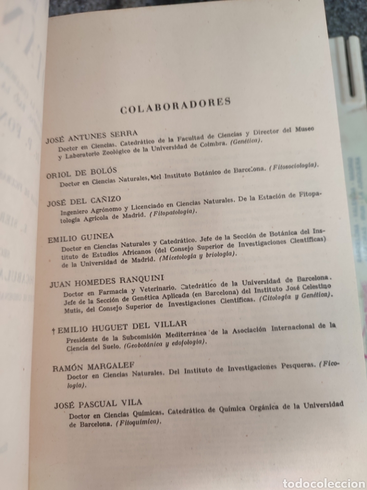 Libros de segunda mano: Diccionario de Bot&aacute;nica/dr p.Font Quer - Foto 3