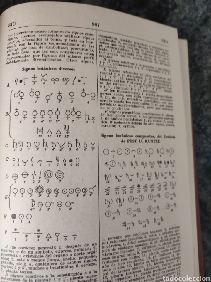 Libros de segunda mano: Diccionario de Bot&aacute;nica/dr p.Font Quer - Foto 8