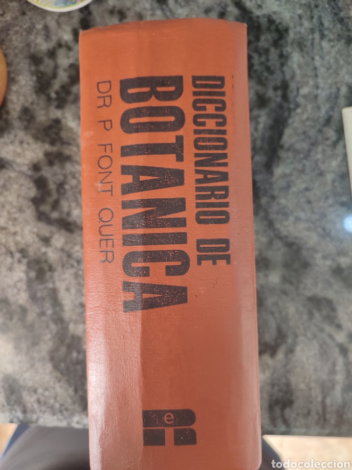 Libros de segunda mano: Diccionario de Bot&aacute;nica/dr p.Font Quer - Foto 10