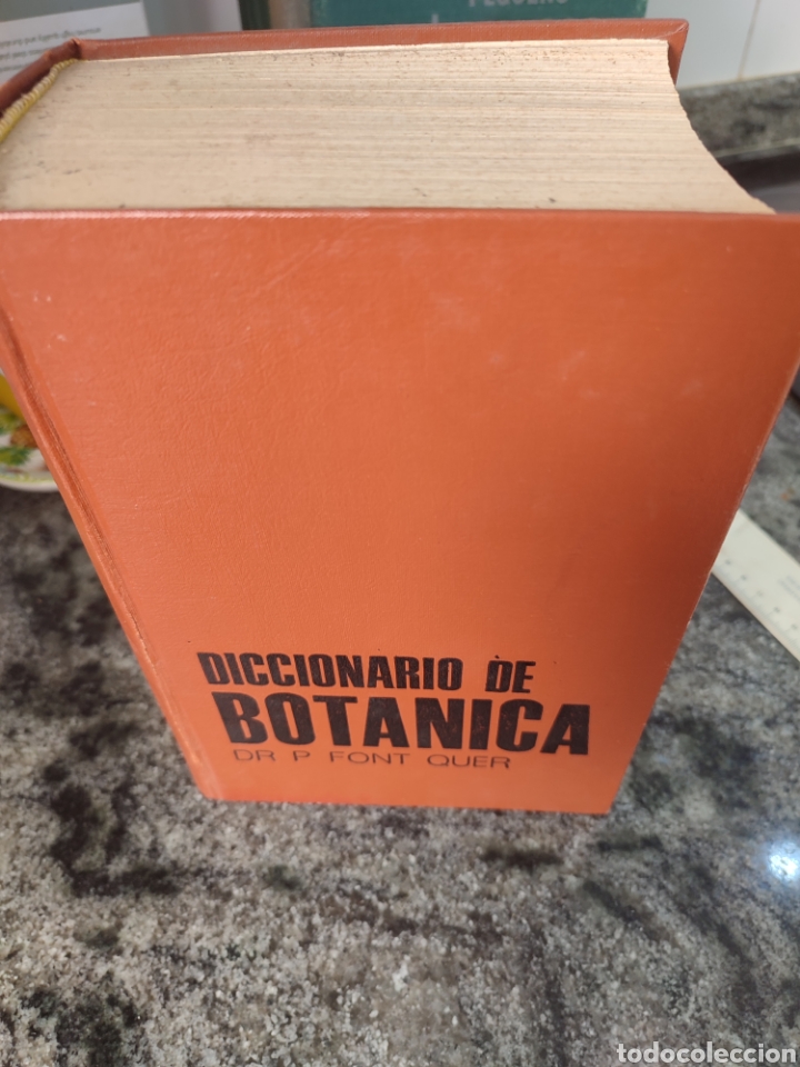 Libros de segunda mano: Diccionario de Bot&aacute;nica/dr p.Font Quer - Foto 11