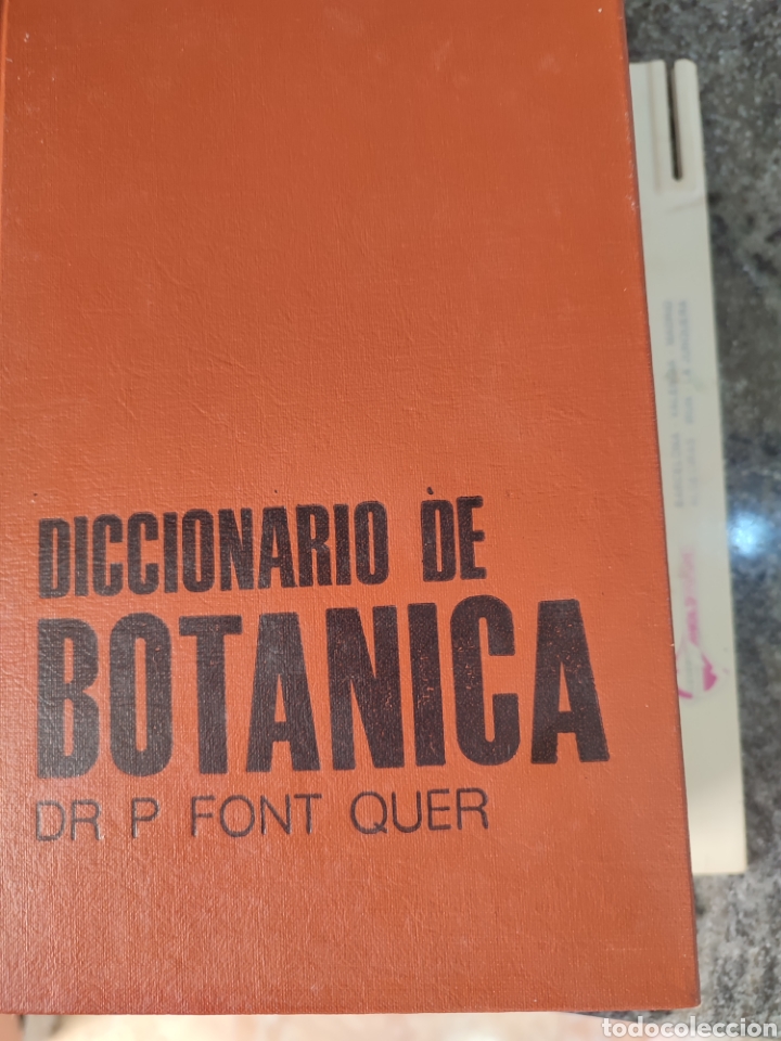 Libros de segunda mano: Diccionario de Bot&aacute;nica/dr p.Font Quer - Foto 1