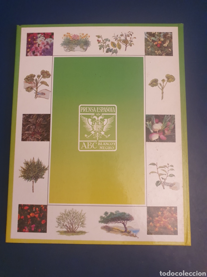 Libros de segunda mano: EL LIBRO DE ORO DE LAS PLANTAS Y LOS JARDINES ABC 1995 - Foto 2