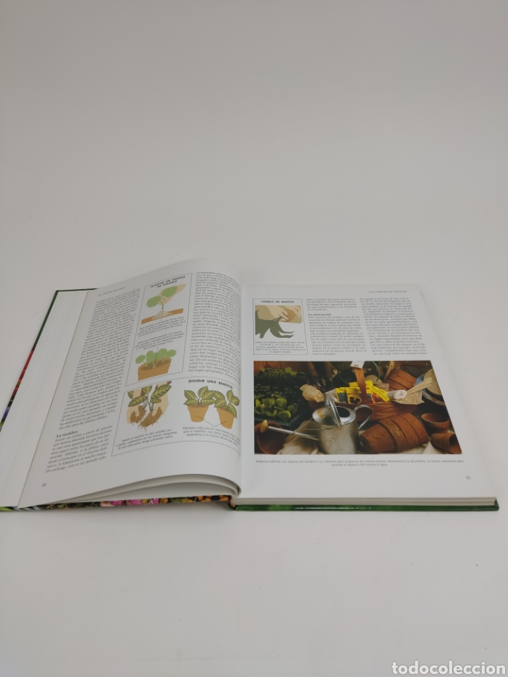Libros de segunda mano: L-2154. EL GRAN LIBRO DE LA JARDINERIA. EDICIONES RUEDA. 2007 - Foto 6