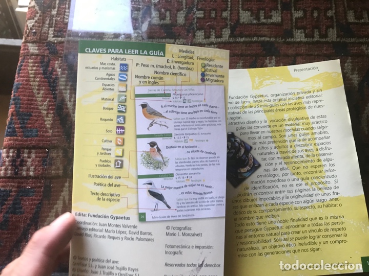 Libros de segunda mano: Cabo de Gata. Mini gu&iacute;as de aves de Andaluc&iacute;a - Foto 2