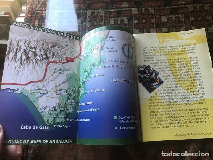 Libros de segunda mano: Cabo de Gata. Mini gu&iacute;as de aves de Andaluc&iacute;a - Foto 3