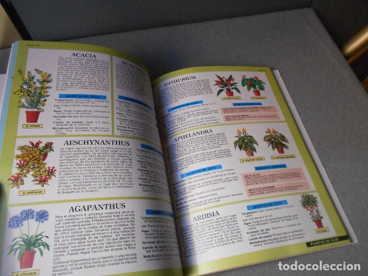 Libros de segunda mano: PLANTAS DE INTERIOR - Foto 4