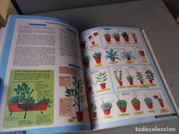 Libros de segunda mano: PLANTAS DE INTERIOR - Foto 5