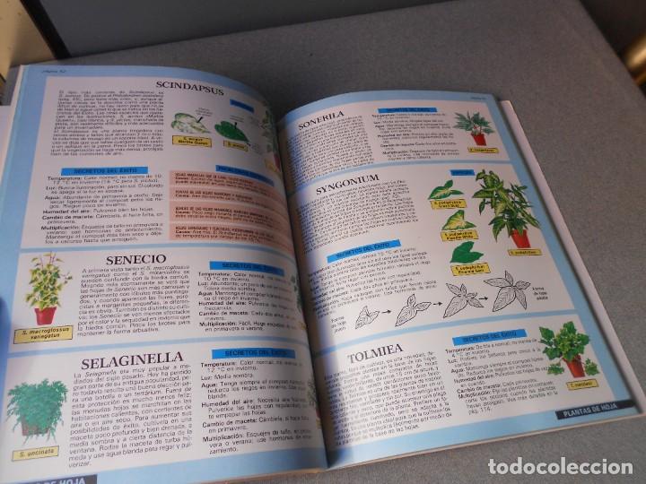Libros de segunda mano: PLANTAS DE INTERIOR - Foto 6