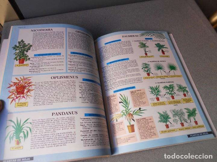 Libros de segunda mano: PLANTAS DE INTERIOR - Foto 7