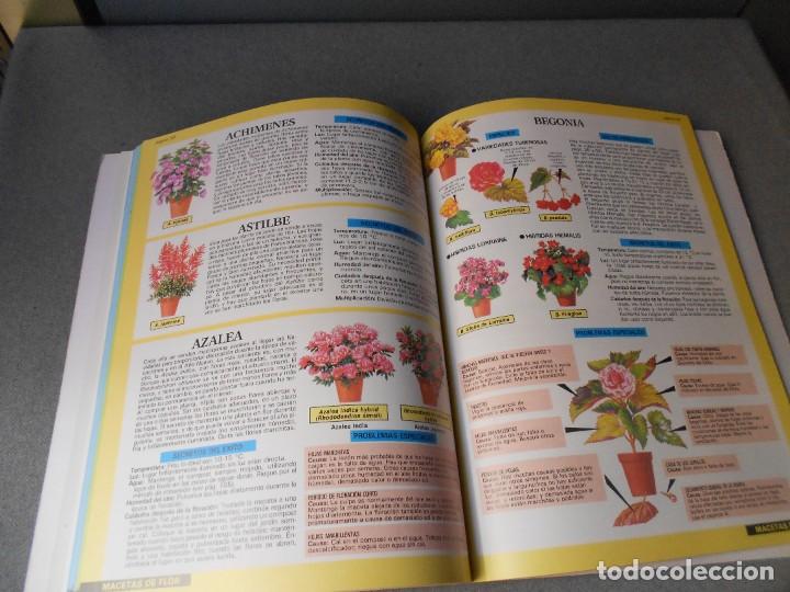 Libros de segunda mano: PLANTAS DE INTERIOR - Foto 8
