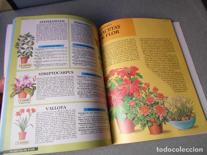 Libros de segunda mano: PLANTAS DE INTERIOR - Foto 9