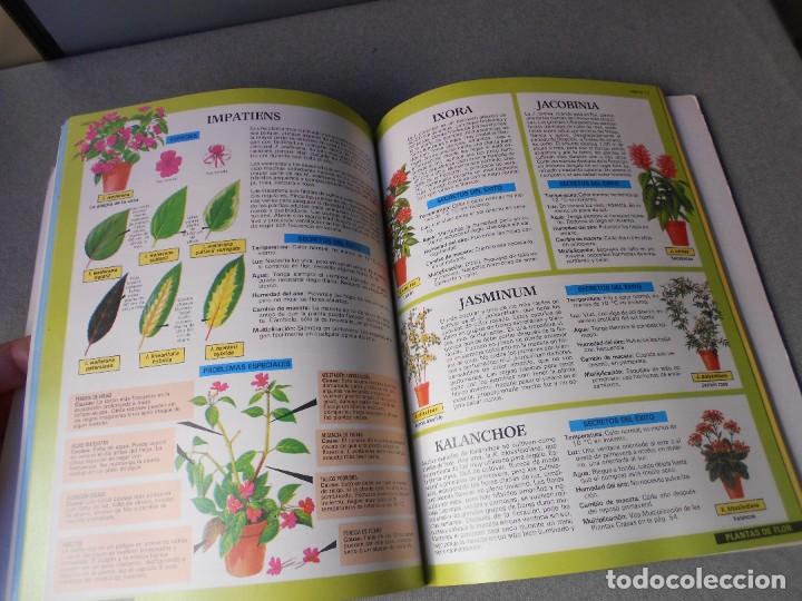 Libros de segunda mano: PLANTAS DE INTERIOR - Foto 10