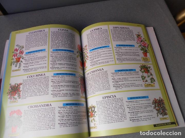 Libros de segunda mano: PLANTAS DE INTERIOR - Foto 11