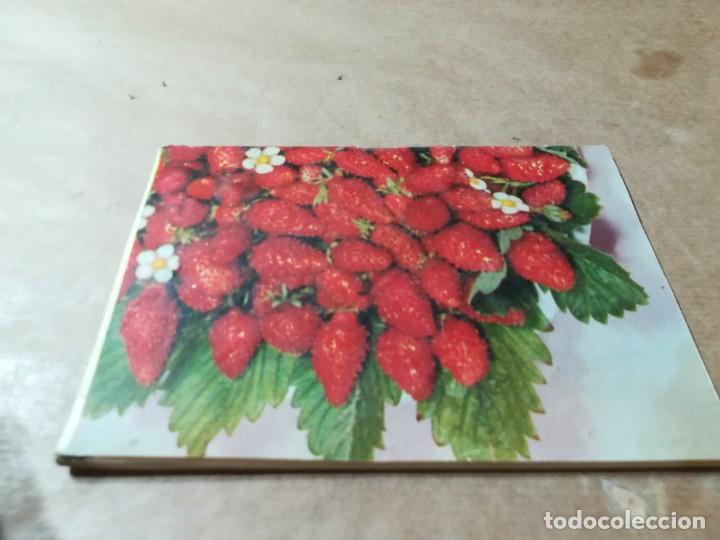 Libros de segunda mano: FRESAS Y FRESONES / AQ602 / 39 KANDA - Foto 3