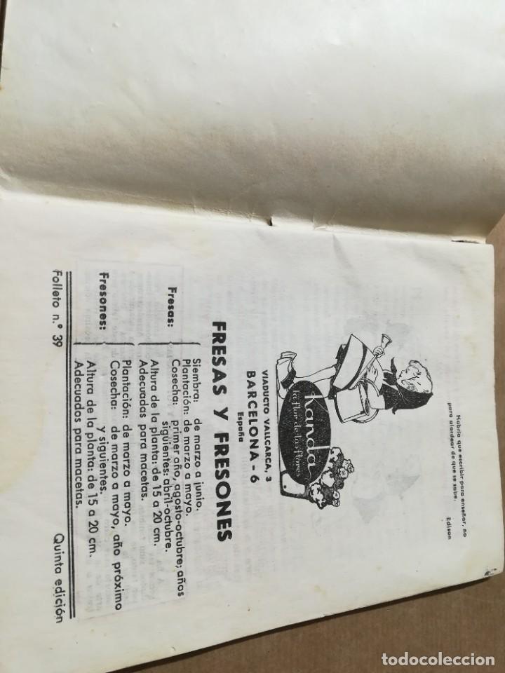 Libros de segunda mano: FRESAS Y FRESONES / AQ602 / 39 KANDA - Foto 4