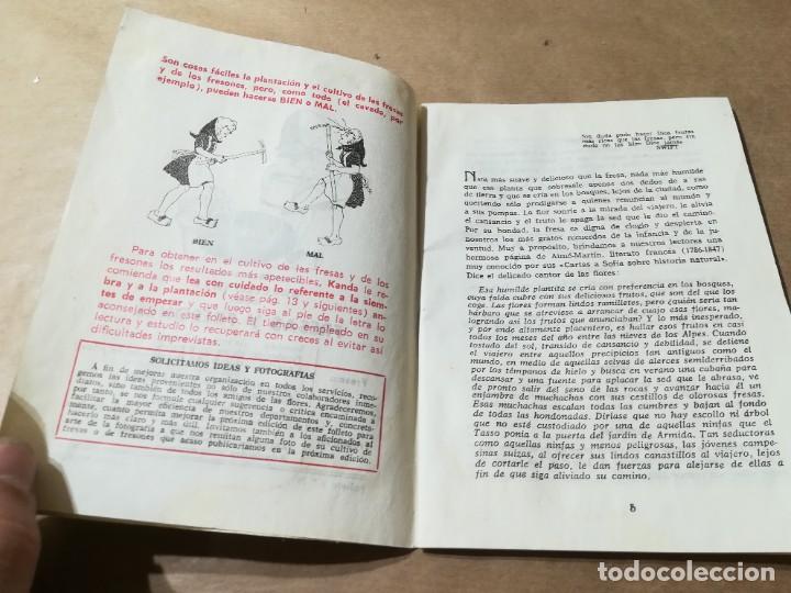 Libros de segunda mano: FRESAS Y FRESONES / AQ602 / 39 KANDA - Foto 5