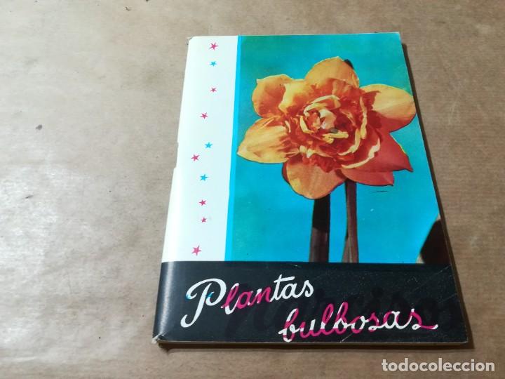 Libros de segunda mano: PLANTAS BULBOSAS / AQ602 / 58 KANDA - Foto 1