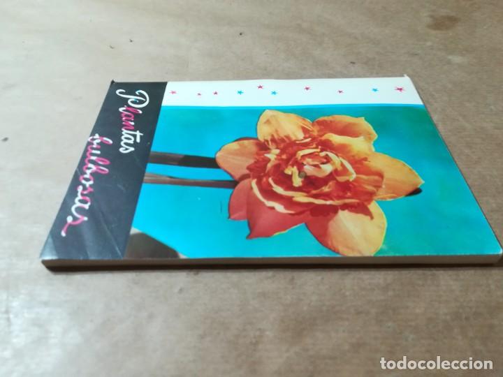 Libros de segunda mano: PLANTAS BULBOSAS / AQ602 / 58 KANDA - Foto 3