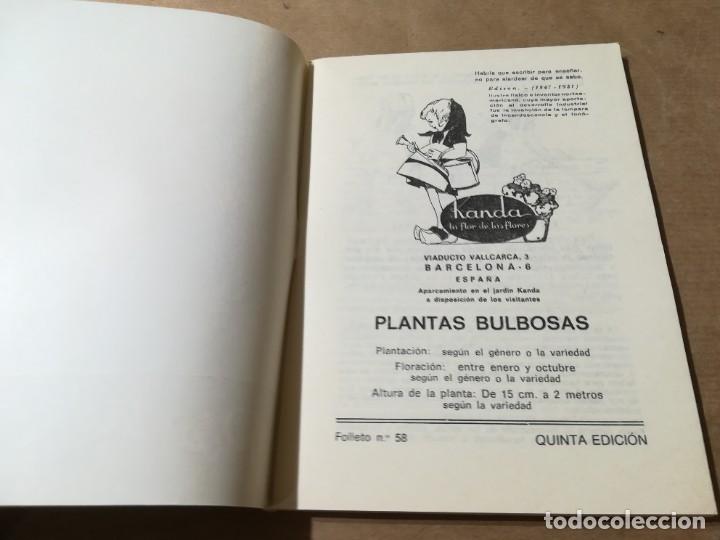 Libros de segunda mano: PLANTAS BULBOSAS / AQ602 / 58 KANDA - Foto 4