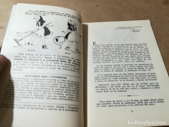 Libros de segunda mano: PLANTAS BULBOSAS / AQ602 / 58 KANDA - Foto 5