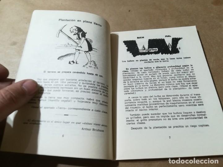 Libros de segunda mano: PLANTAS BULBOSAS / AQ602 / 58 KANDA - Foto 6