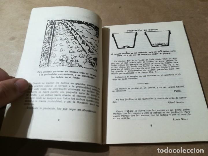Libros de segunda mano: PLANTAS BULBOSAS / AQ602 / 58 KANDA - Foto 7
