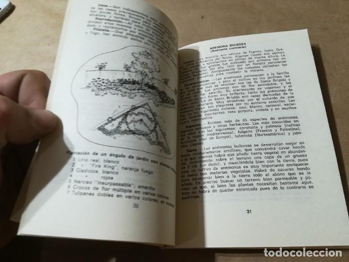 Libros de segunda mano: PLANTAS BULBOSAS / AQ602 / 58 KANDA - Foto 9