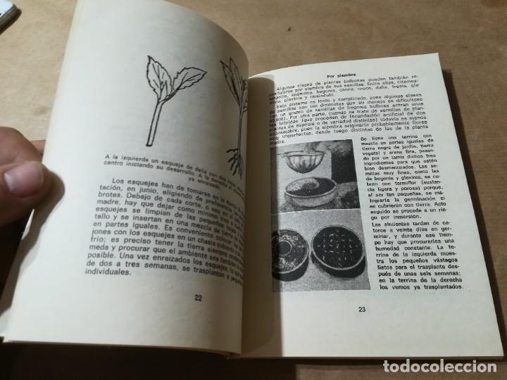 Libros de segunda mano: PLANTAS BULBOSAS / AQ602 / 58 KANDA - Foto 11