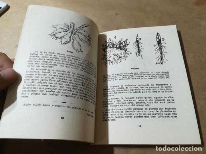 Libros de segunda mano: PLANTAS BULBOSAS / AQ602 / 58 KANDA - Foto 12