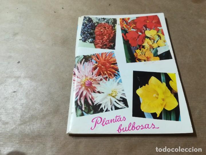 Libros de segunda mano: PLANTAS BULBOSAS / AQ602 / 58 KANDA - Foto 1