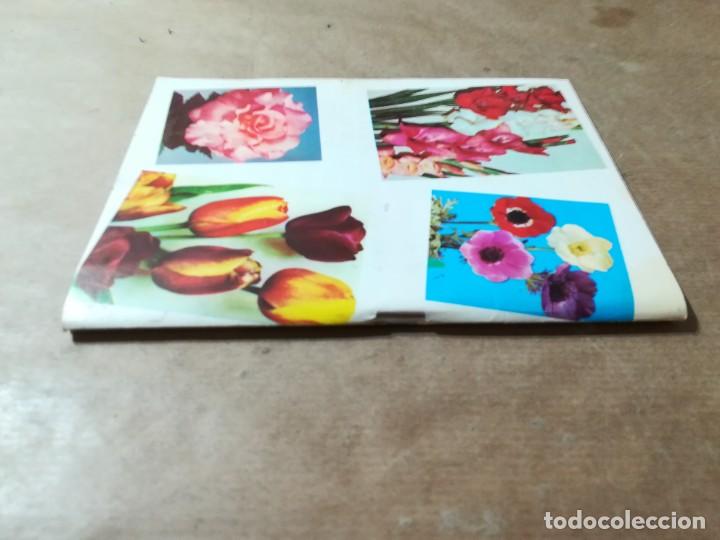 Libros de segunda mano: PLANTAS BULBOSAS / AQ602 / 58 KANDA - Foto 2