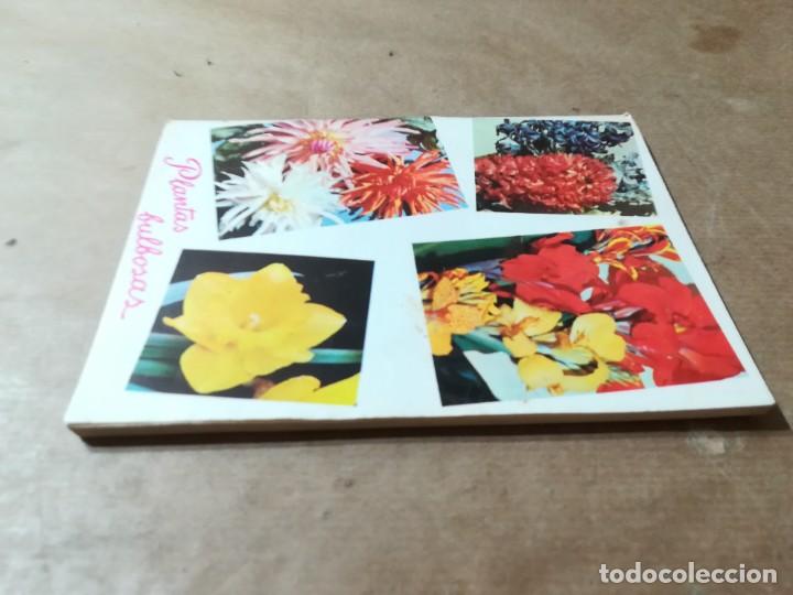 Libros de segunda mano: PLANTAS BULBOSAS / AQ602 / 58 KANDA - Foto 3