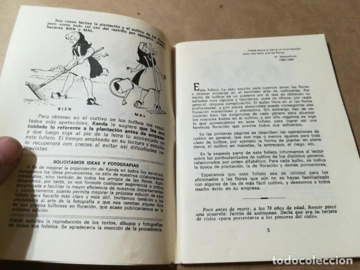 Libros de segunda mano: PLANTAS BULBOSAS / AQ602 / 58 KANDA - Foto 5