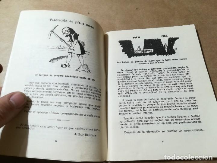 Libros de segunda mano: PLANTAS BULBOSAS / AQ602 / 58 KANDA - Foto 6