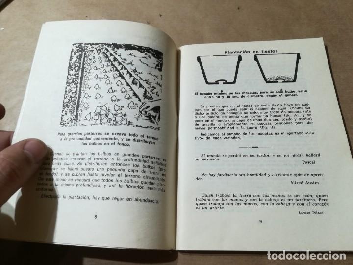 Libros de segunda mano: PLANTAS BULBOSAS / AQ602 / 58 KANDA - Foto 7