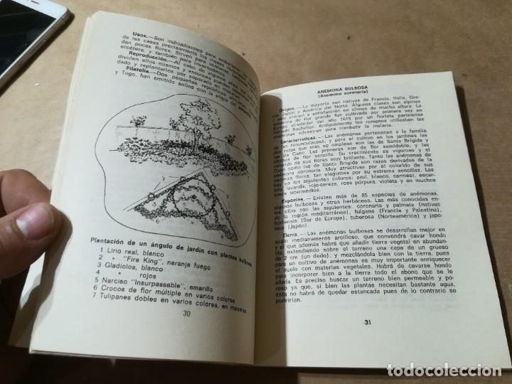 Libros de segunda mano: PLANTAS BULBOSAS / AQ602 / 58 KANDA - Foto 10