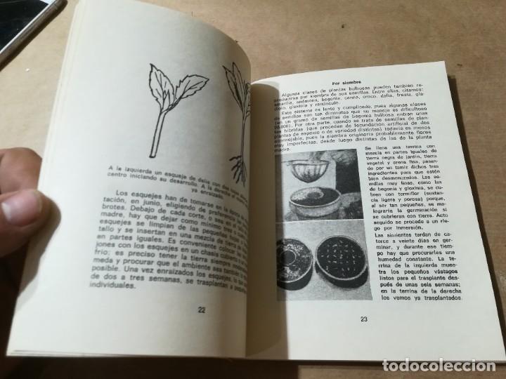 Libros de segunda mano: PLANTAS BULBOSAS / AQ602 / 58 KANDA - Foto 12