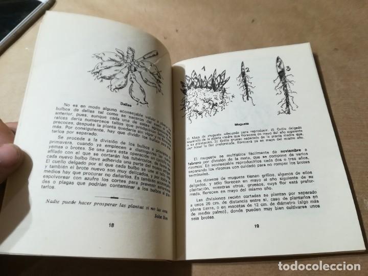 Libros de segunda mano: PLANTAS BULBOSAS / AQ602 / 58 KANDA - Foto 13